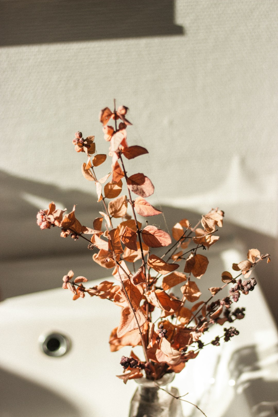 brown leaves on white ceramic sink