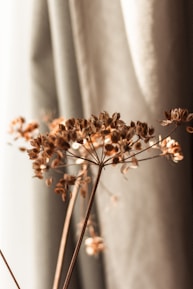brown flowers on white textile