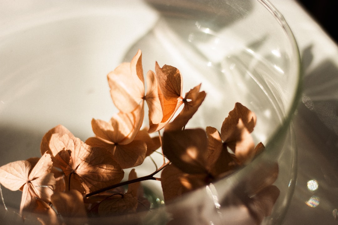 brown leaves on glass bowl