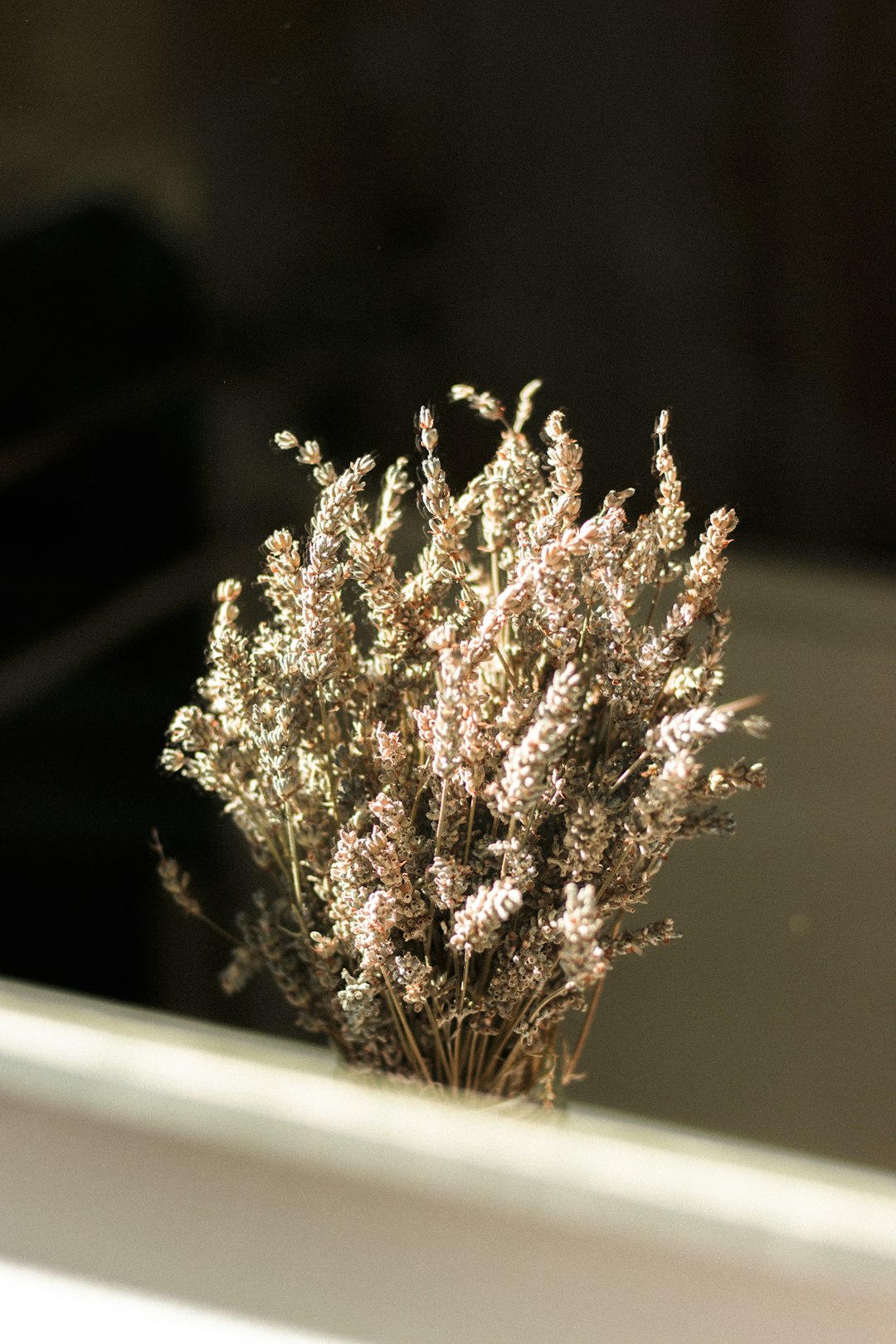 white flowers in tilt shift lens