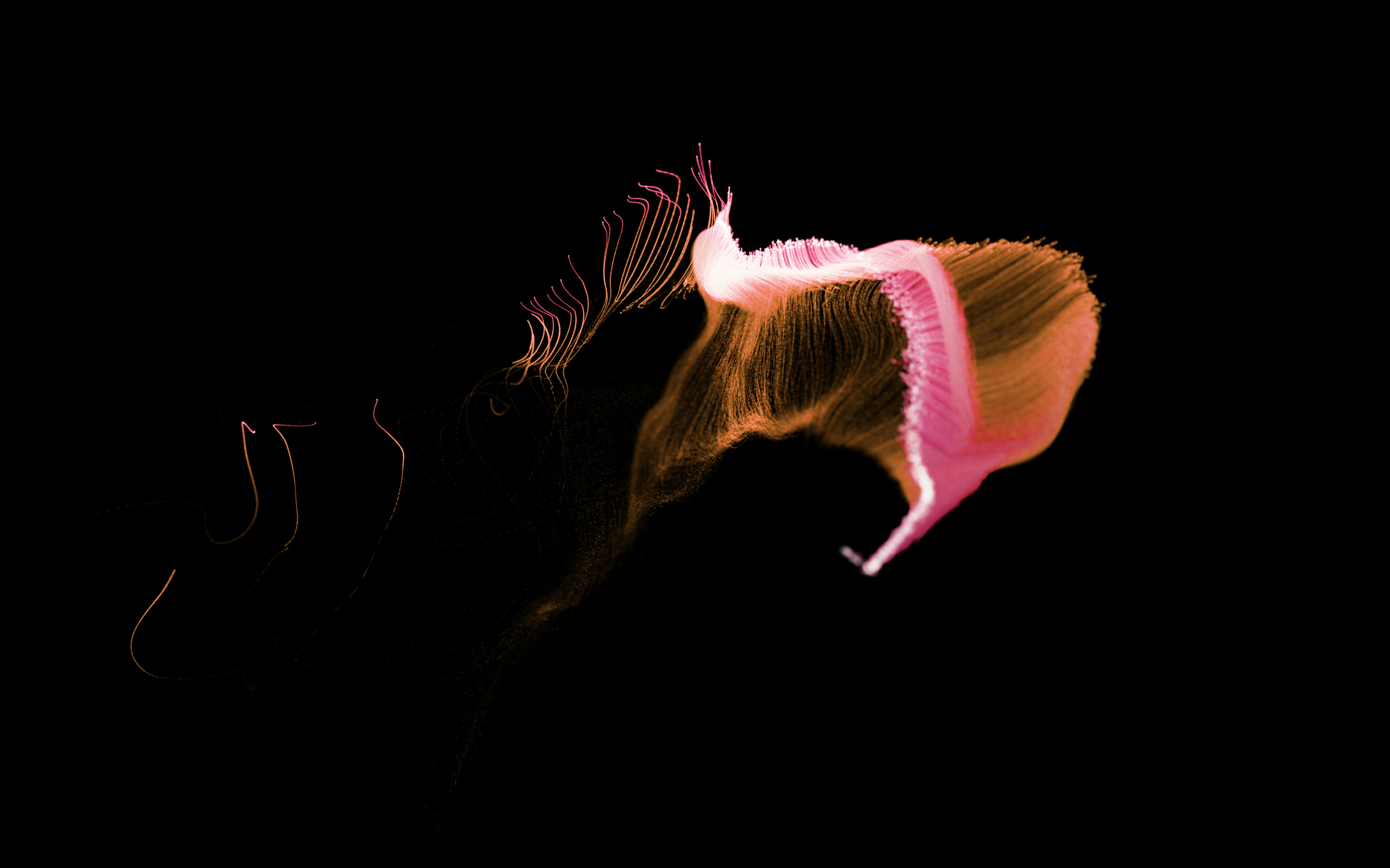 Featured image of post ImHex