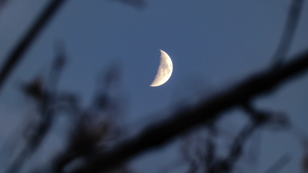 half moon in the sky