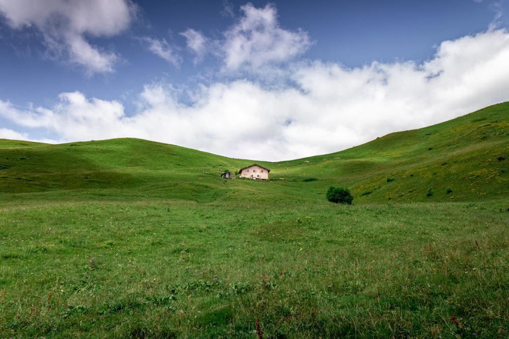 green grass field under white clouds during daytime