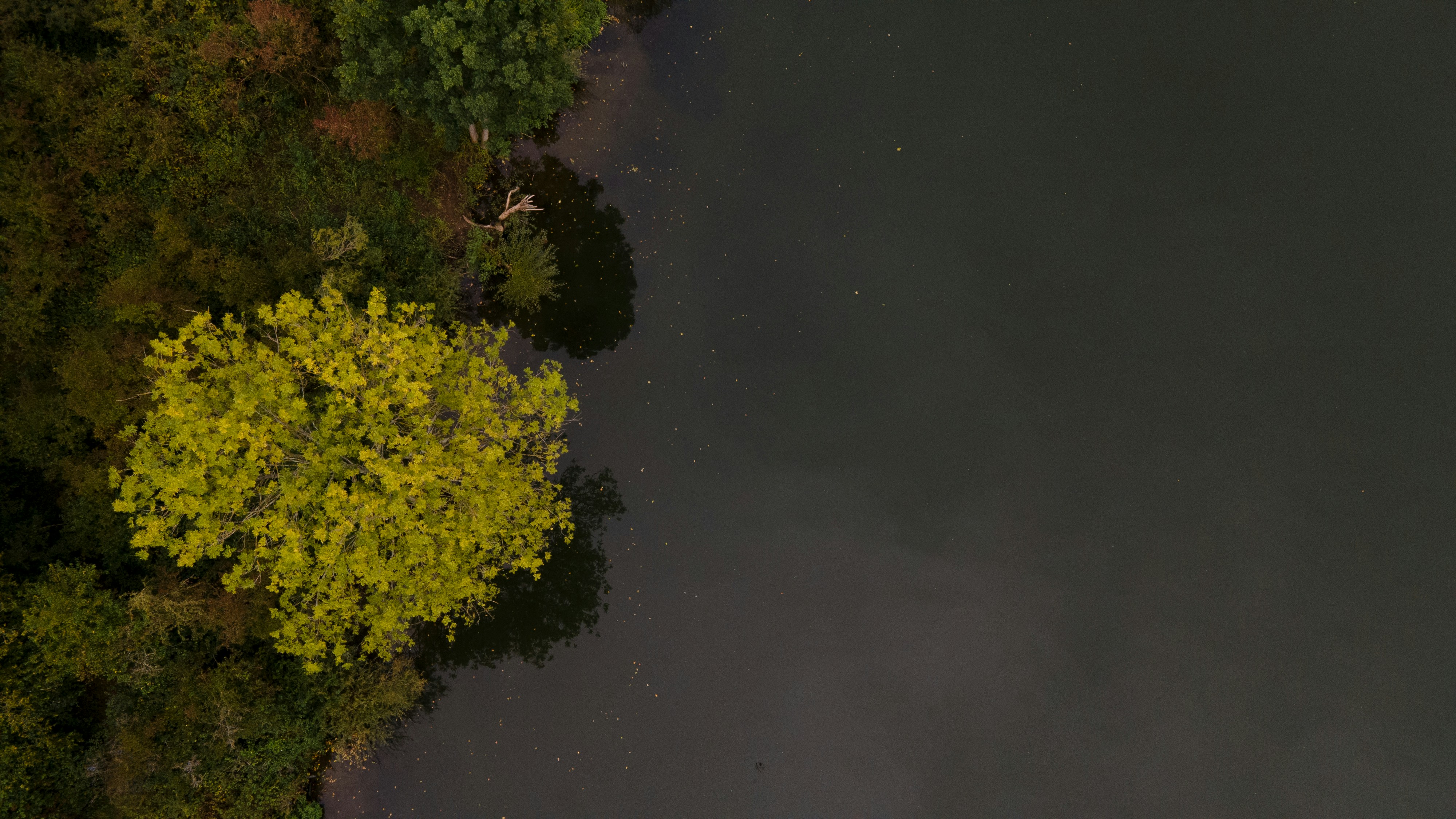 Photo by guillaumevdn