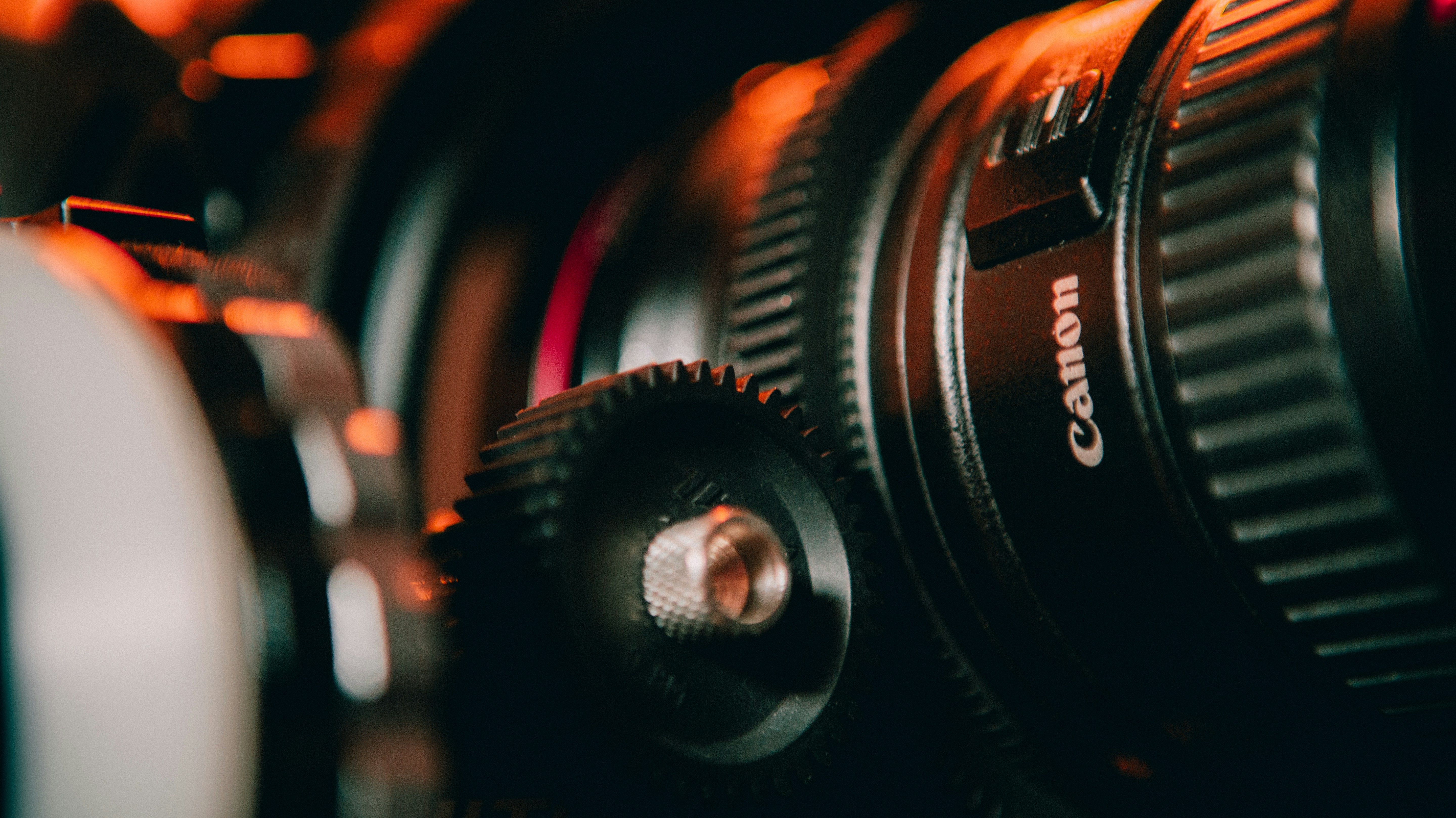 Photo by billyfreeman