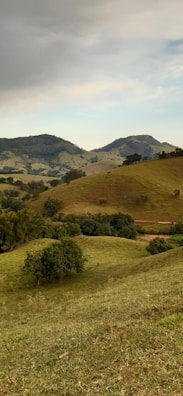 A scenic landscape featuring lush greenery and rolling hills.