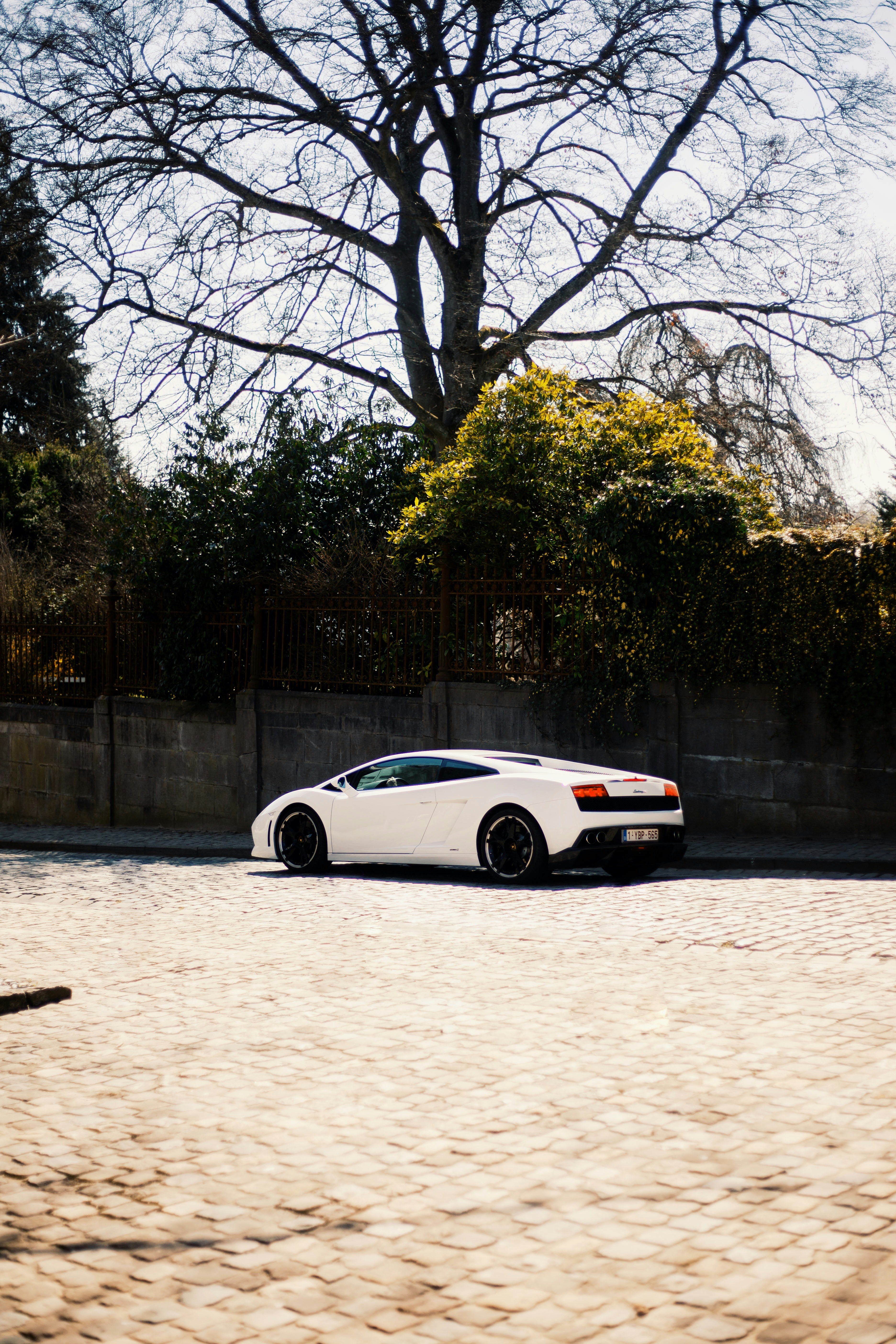 Photo by wannesdemol