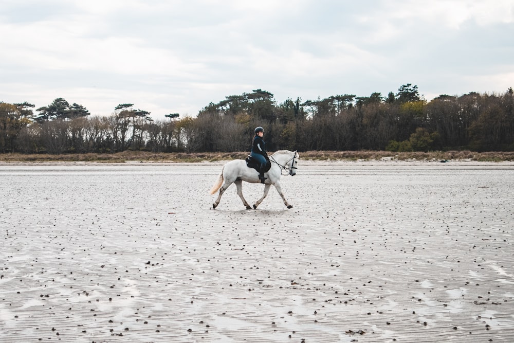 man in white shirt riding white horse on white sand during daytime