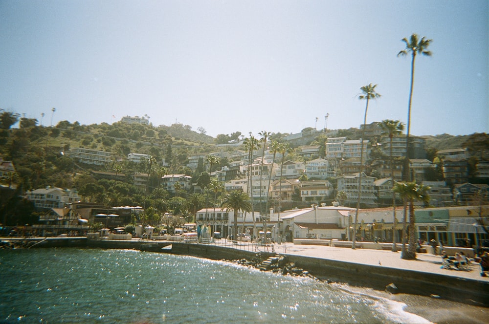 city buildings near body of water during daytime