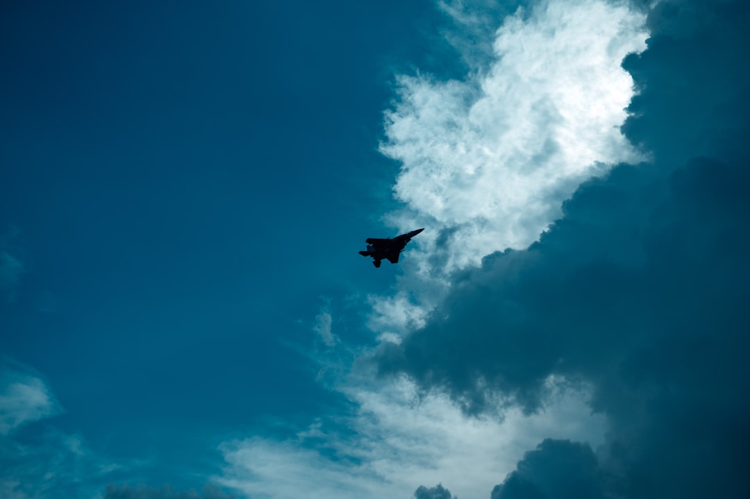 black bird flying under blue sky during daytime