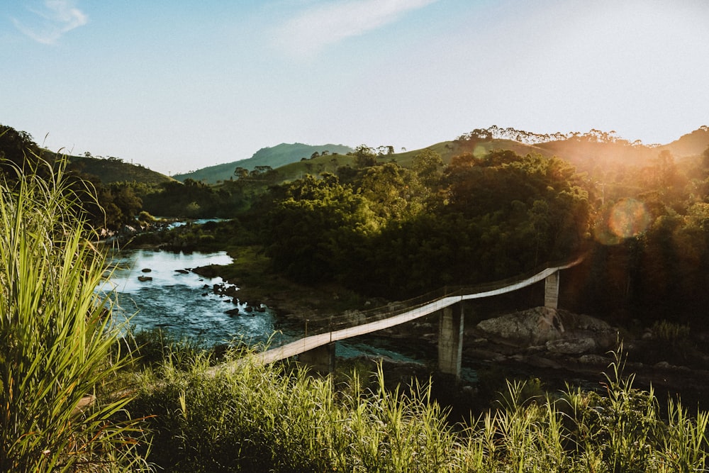 brown wooden bridge over river