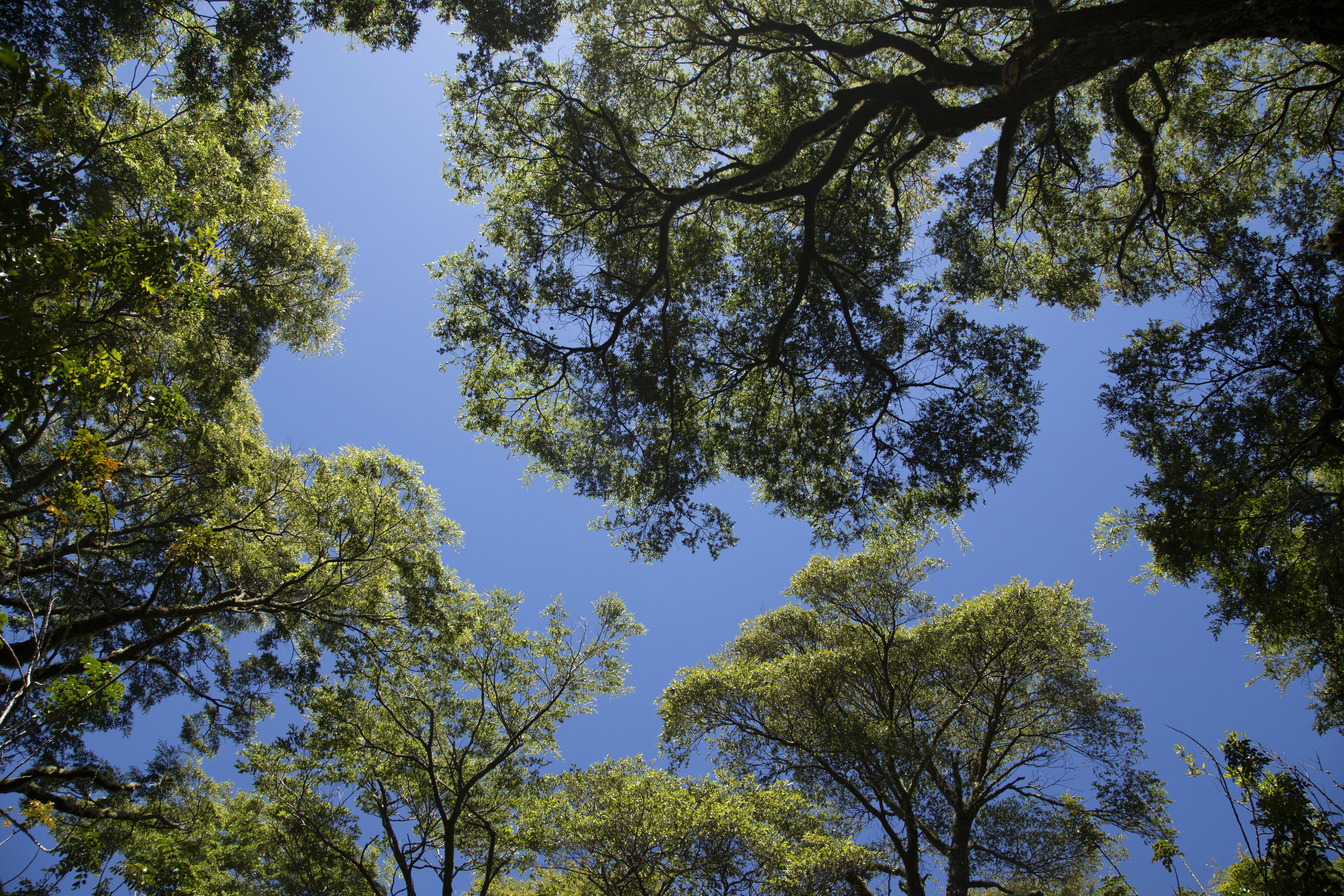 Photo by orionsgalery