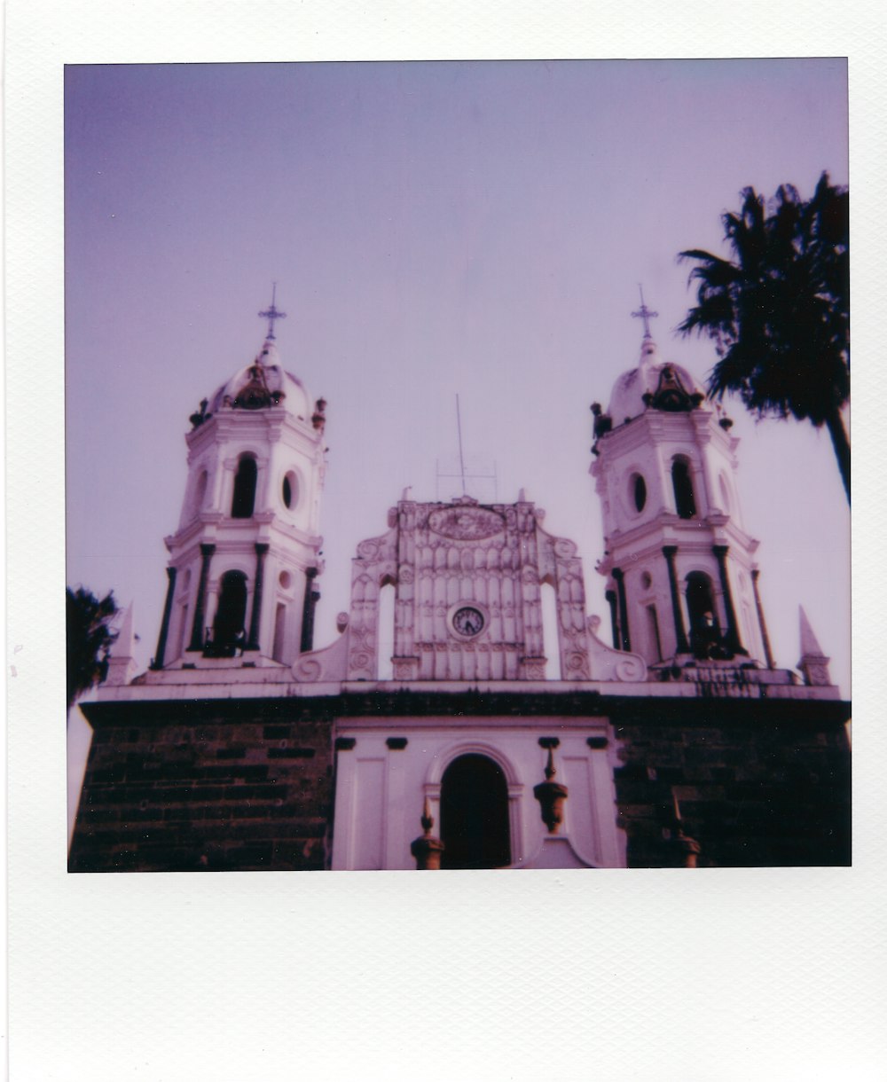 grayscale photo of cathedral near palm trees