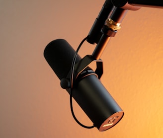black and silver microphone on brown wall