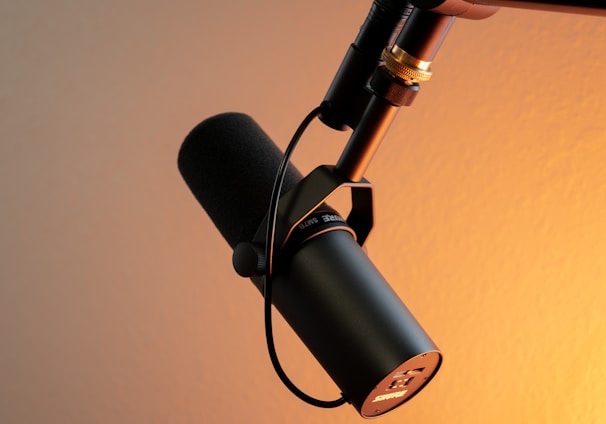 black and silver microphone on brown wall