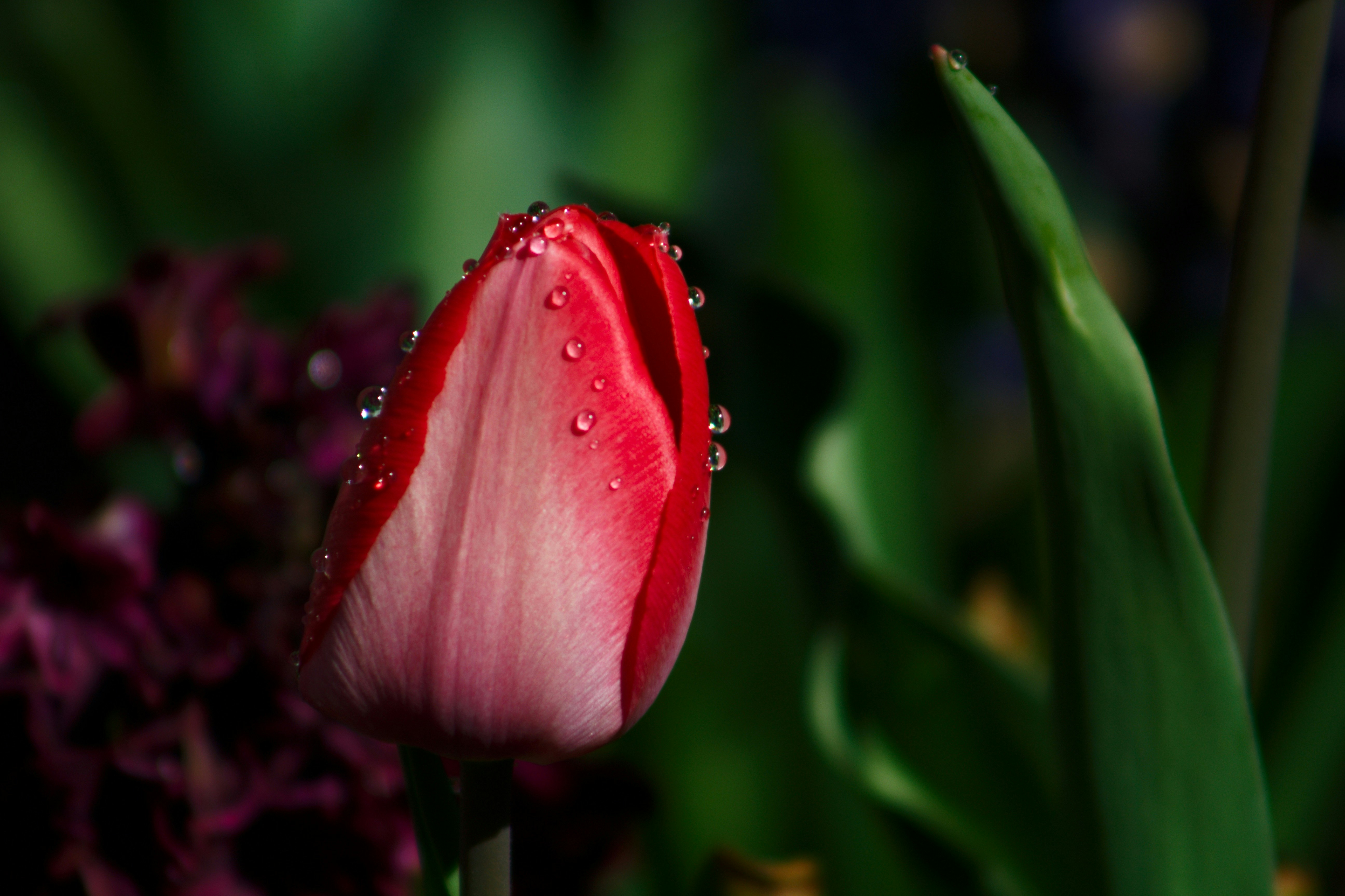 Photo by joshua_hoehne