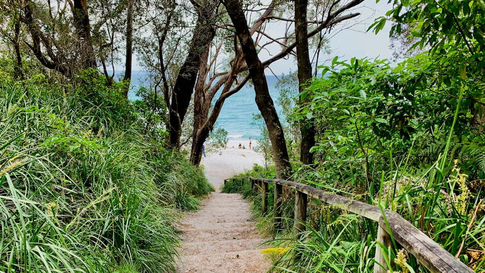 brown wooden fence near green trees and body of water during daytime