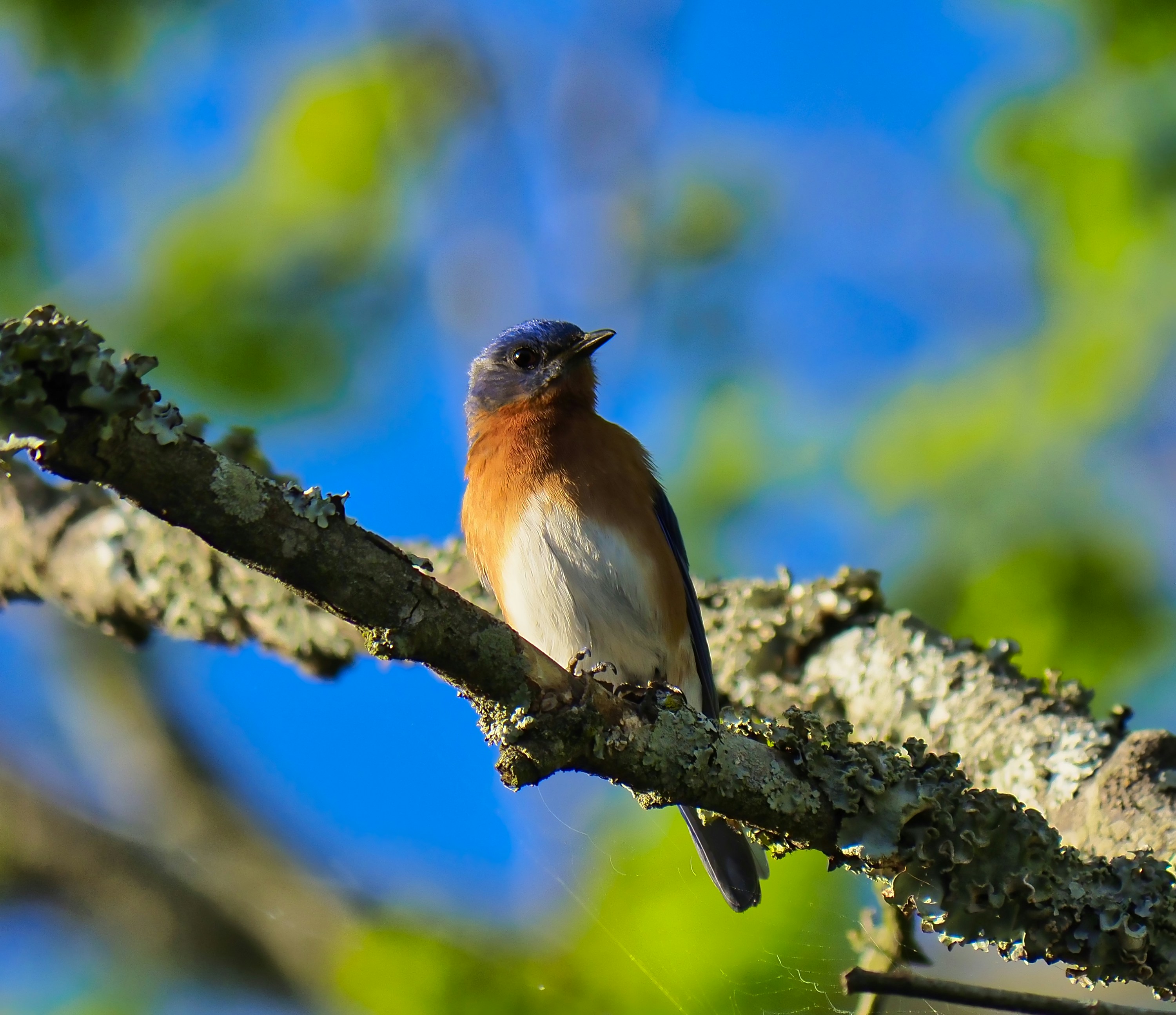 Photo by jeffhutch1985