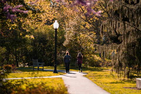 Shaded walking path near trees, similar to Howard Technology Park in Ellisville, MS