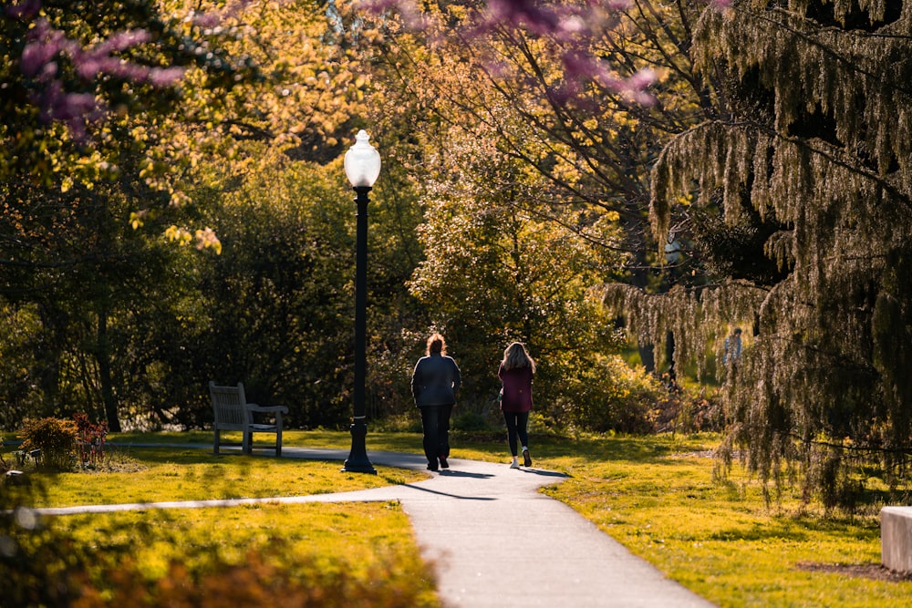 couple walking on sidewalk near trees during daytime