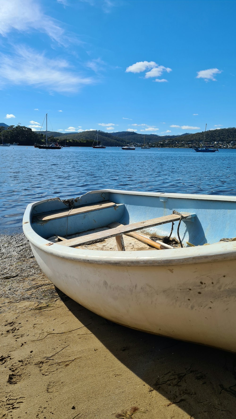 white and brown boat on beach during daytime