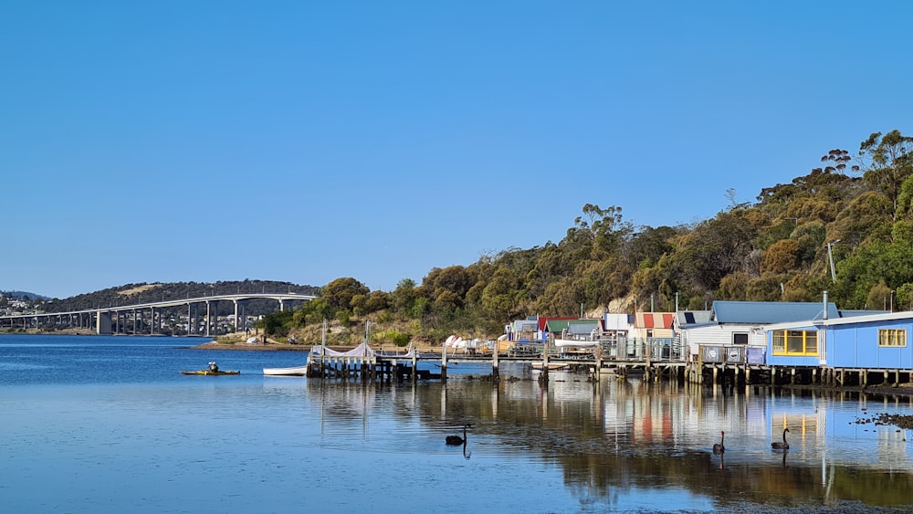 boats on dock near green trees during daytime