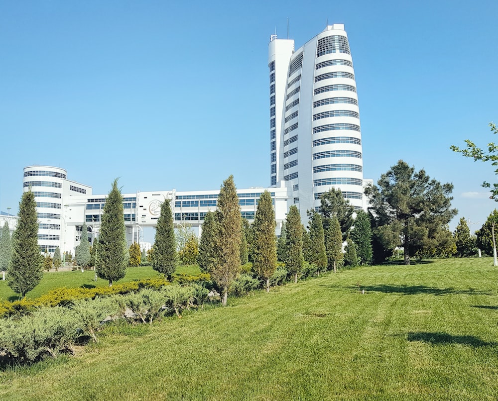green grass field with trees and white high rise buildings in distance