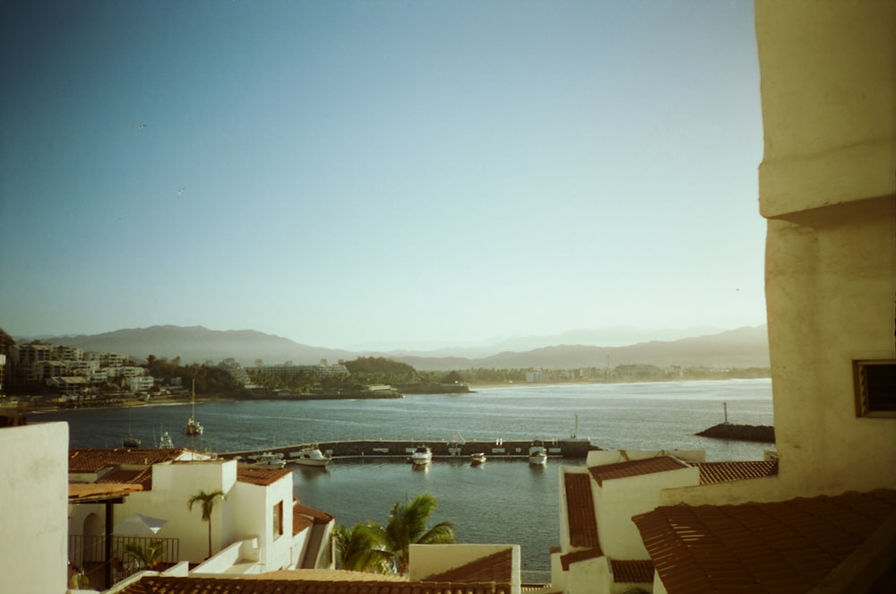 white and brown concrete building near body of water during daytime