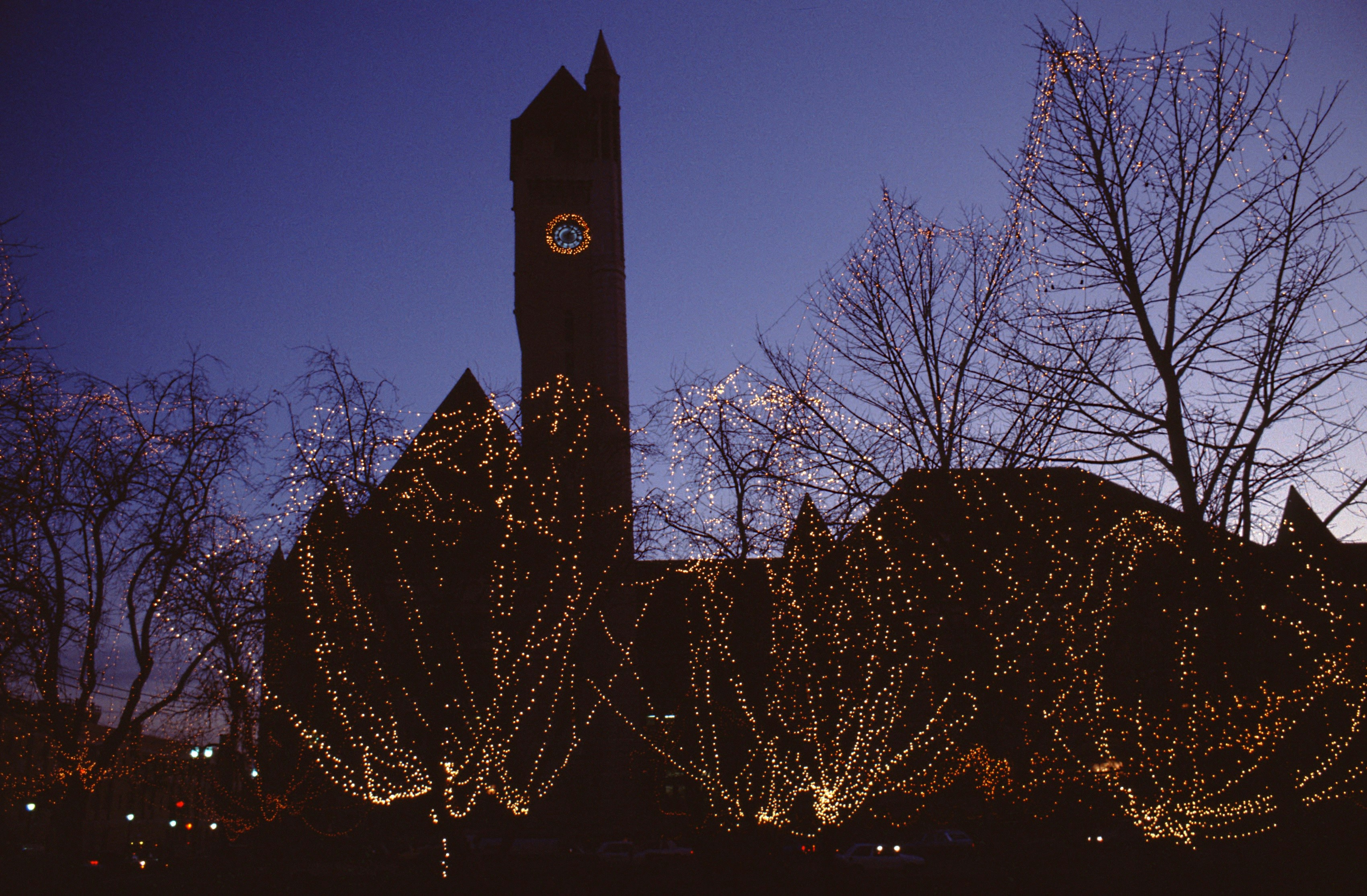 Building with trees decorated in lights at dusk.