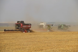 A field is being harvested by three large combine harvesters, each in different colors—red, beige, and green. Dust and chaff fill the air behind the machines as they move through the golden wheat field. The landscape in the background is flat, likely indicating a rural setting.