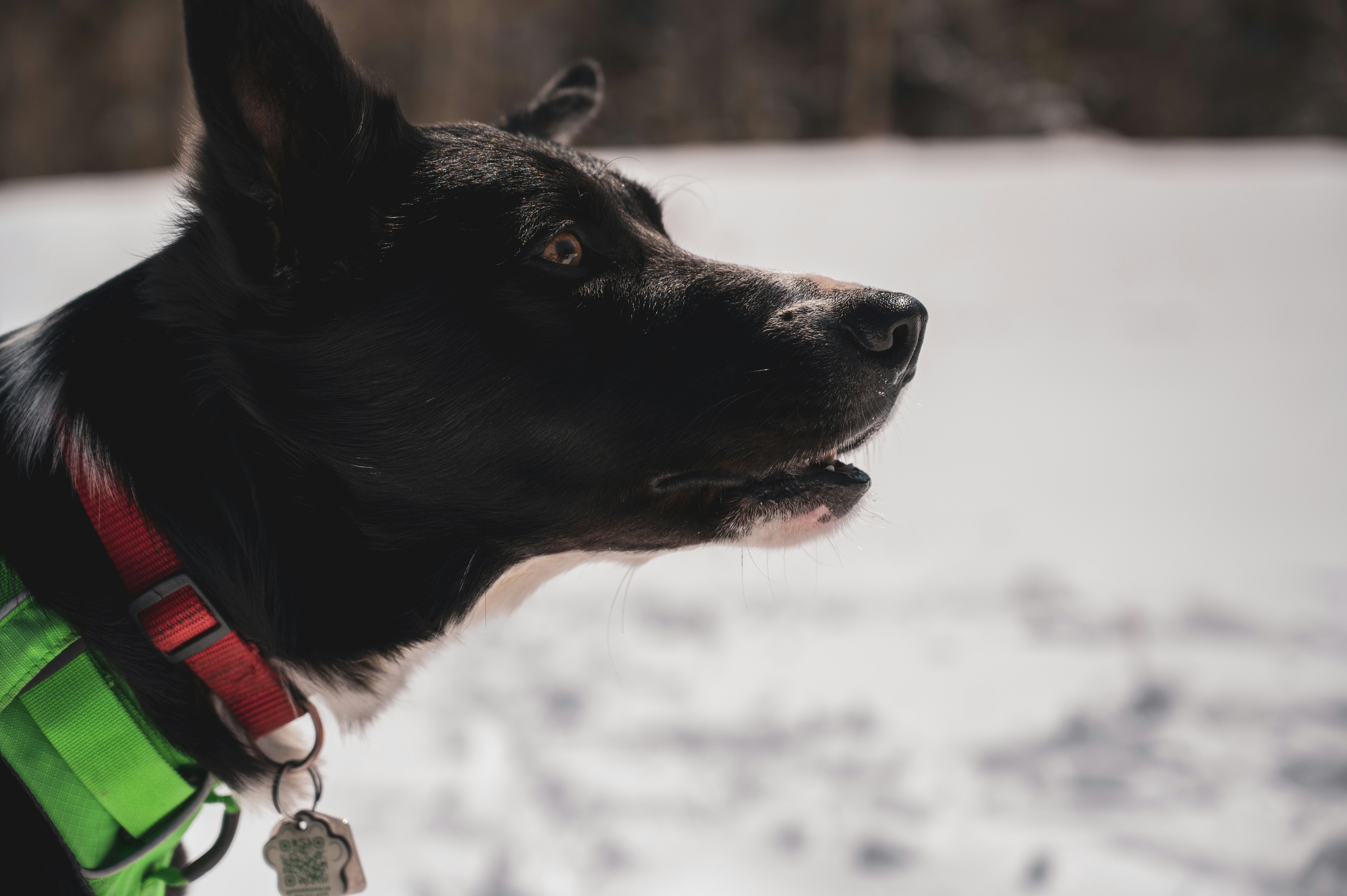 Photo by ryunosuke_kikuno