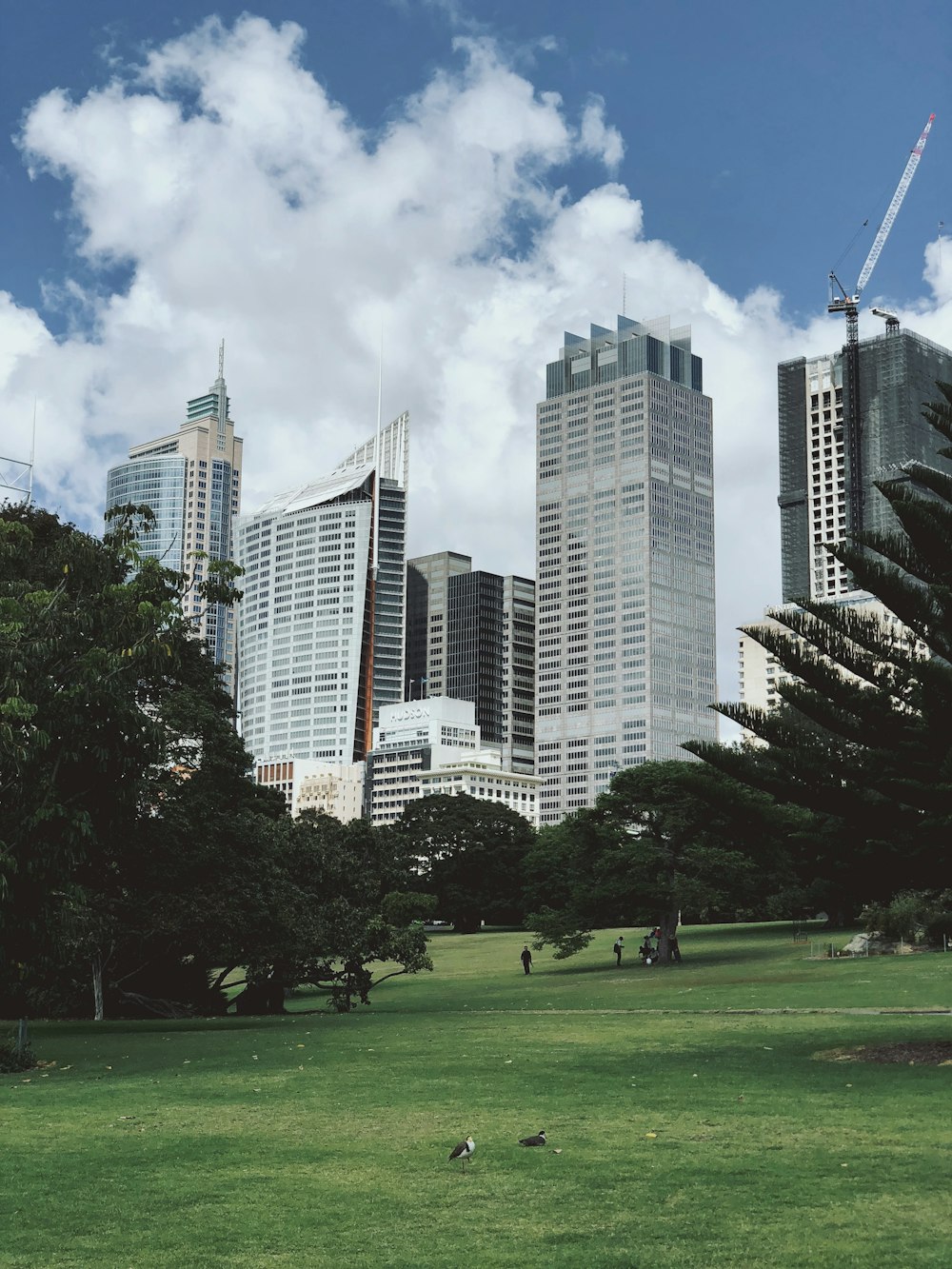 green grass field near high rise buildings during daytime