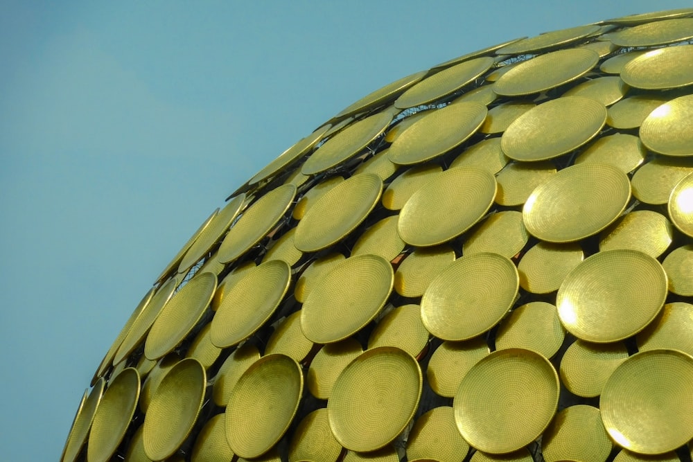 yellow and green round fruits