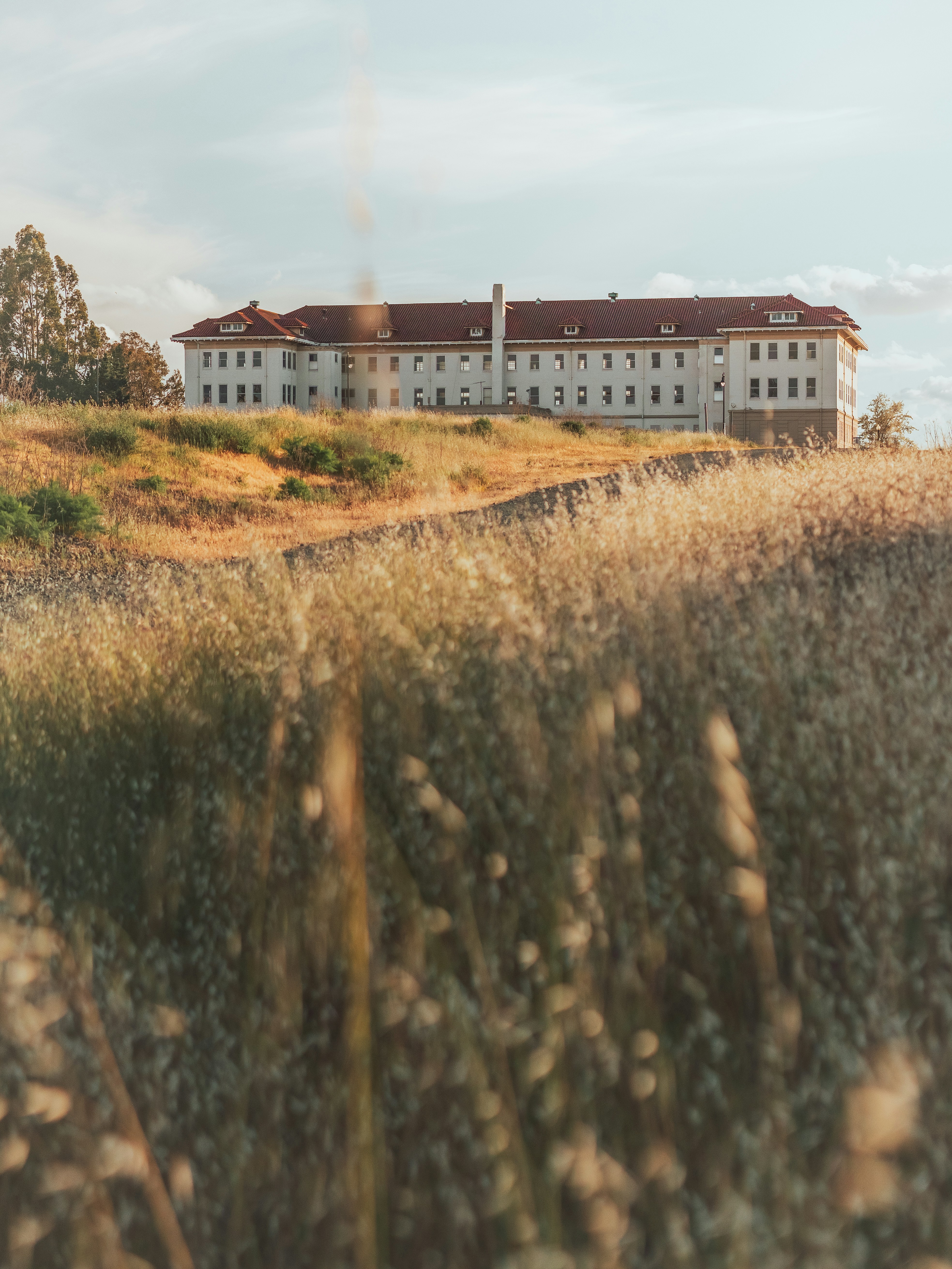 White and brown concrete building near green grass field during daytime ...