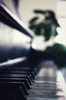 Close-up of accordion keys with forest background softly blurred.