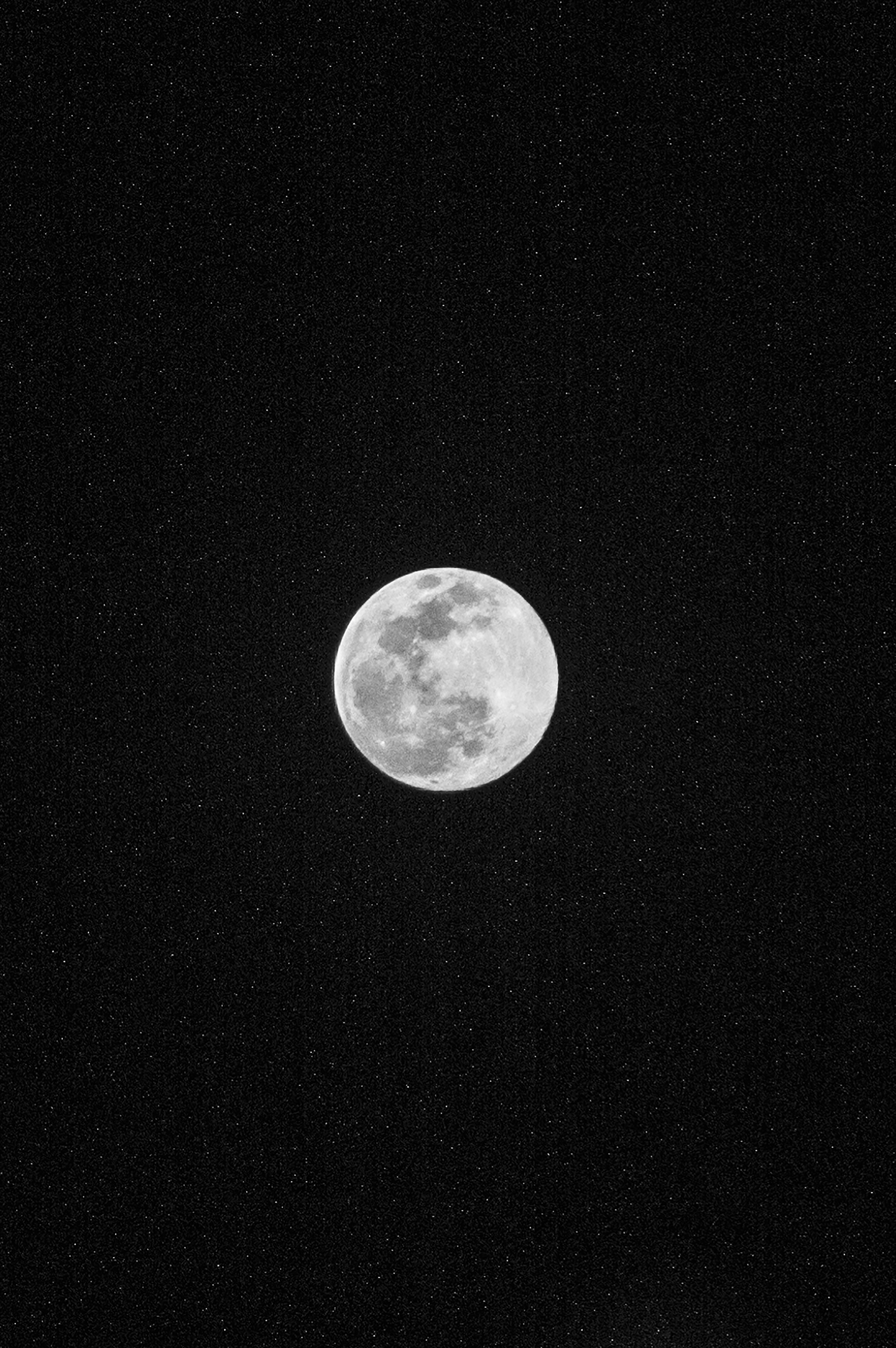 full moon in the sky