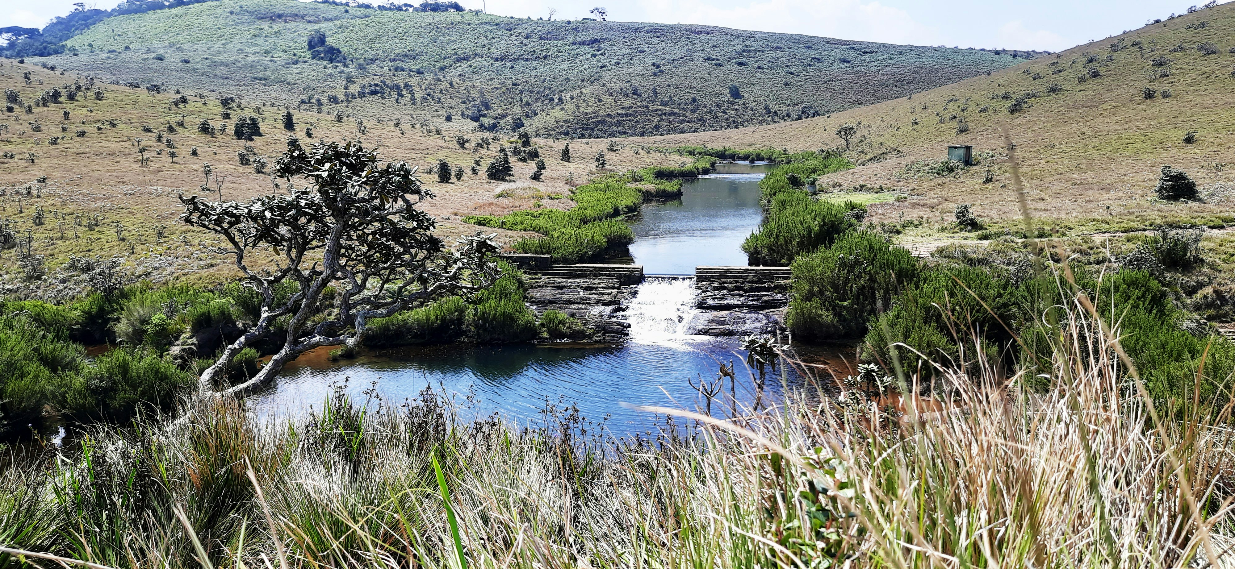 A lake view