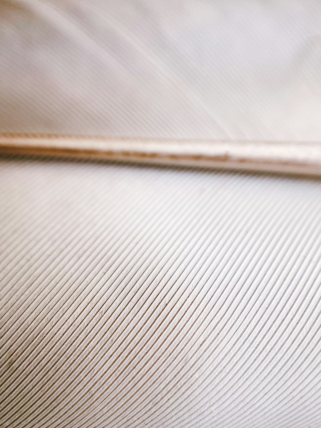 brown leather strap on white textile