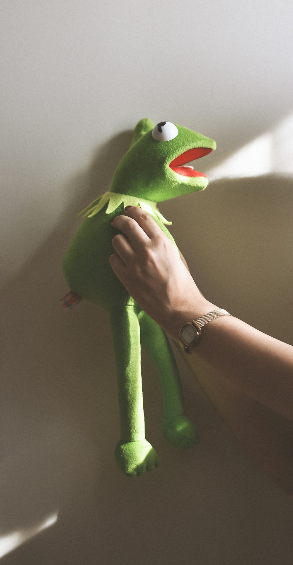green frog plush toy on persons hand