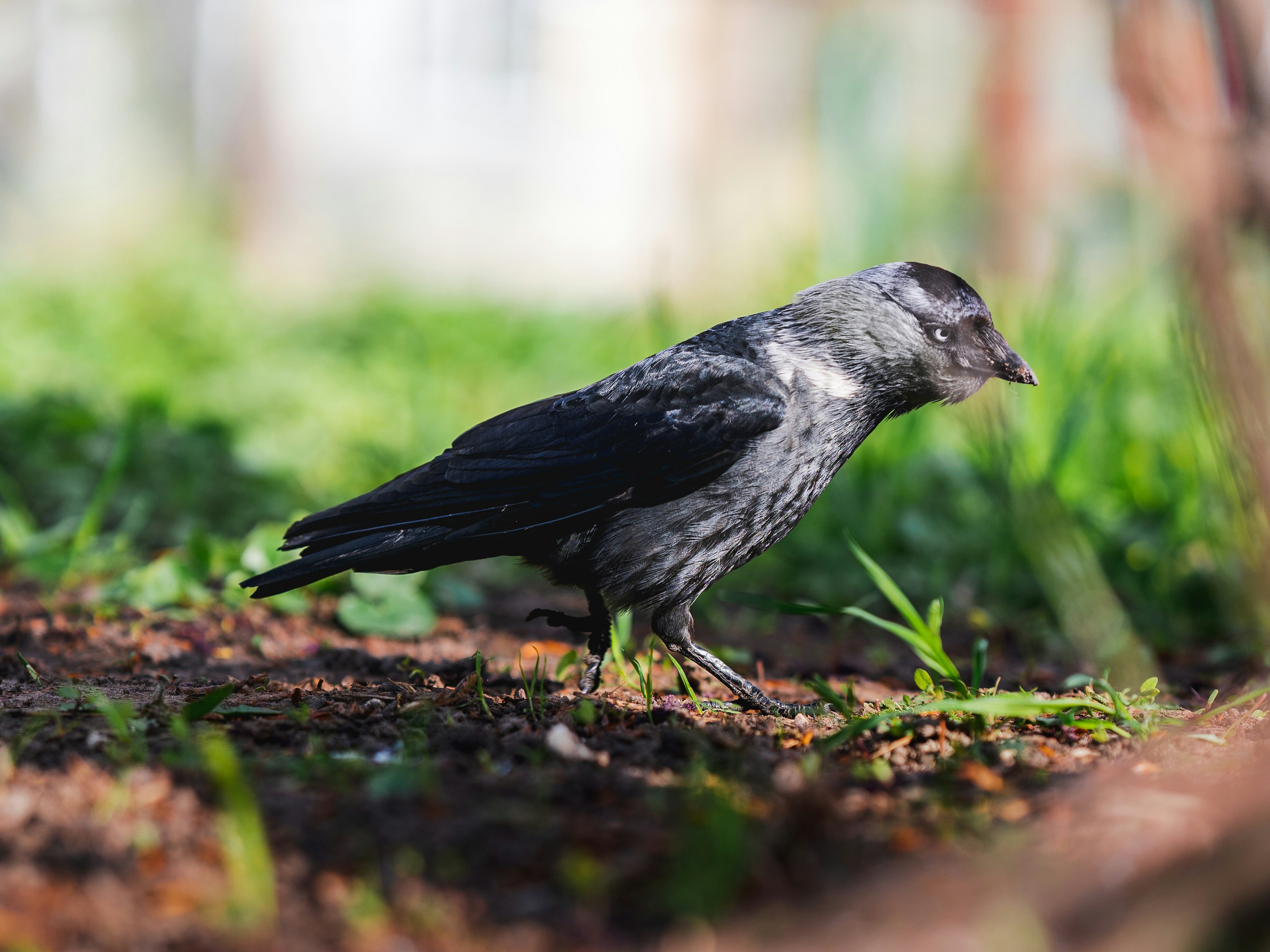 Photo by maksym_tymchyk