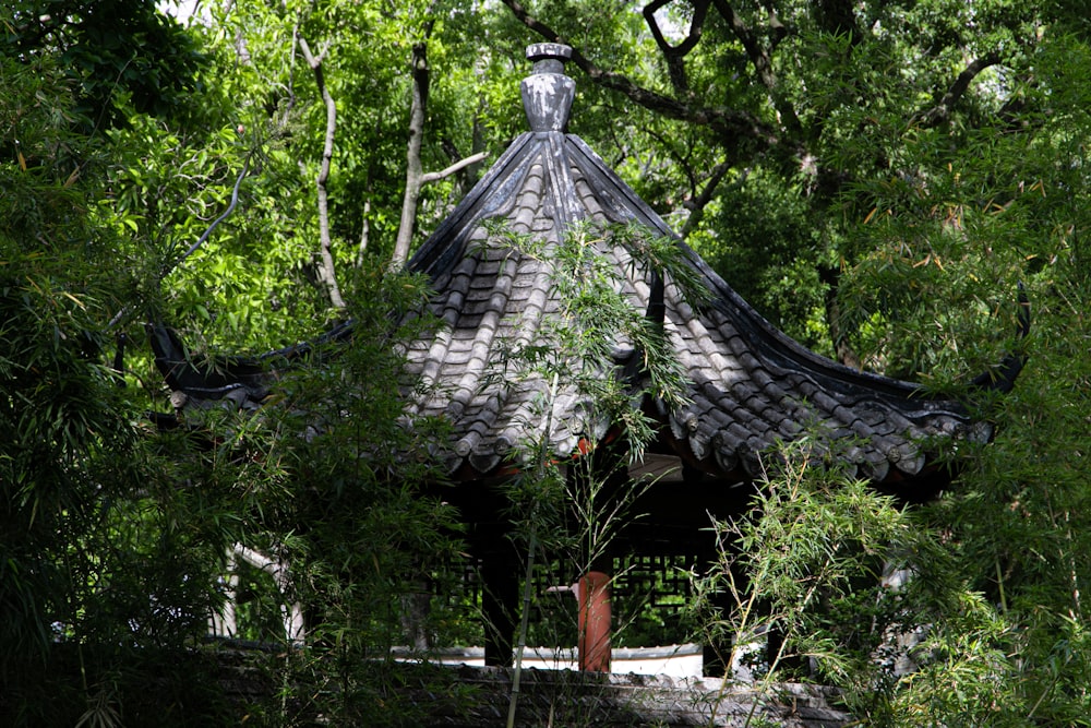 brown and gray wooden house surrounded by green trees during daytime