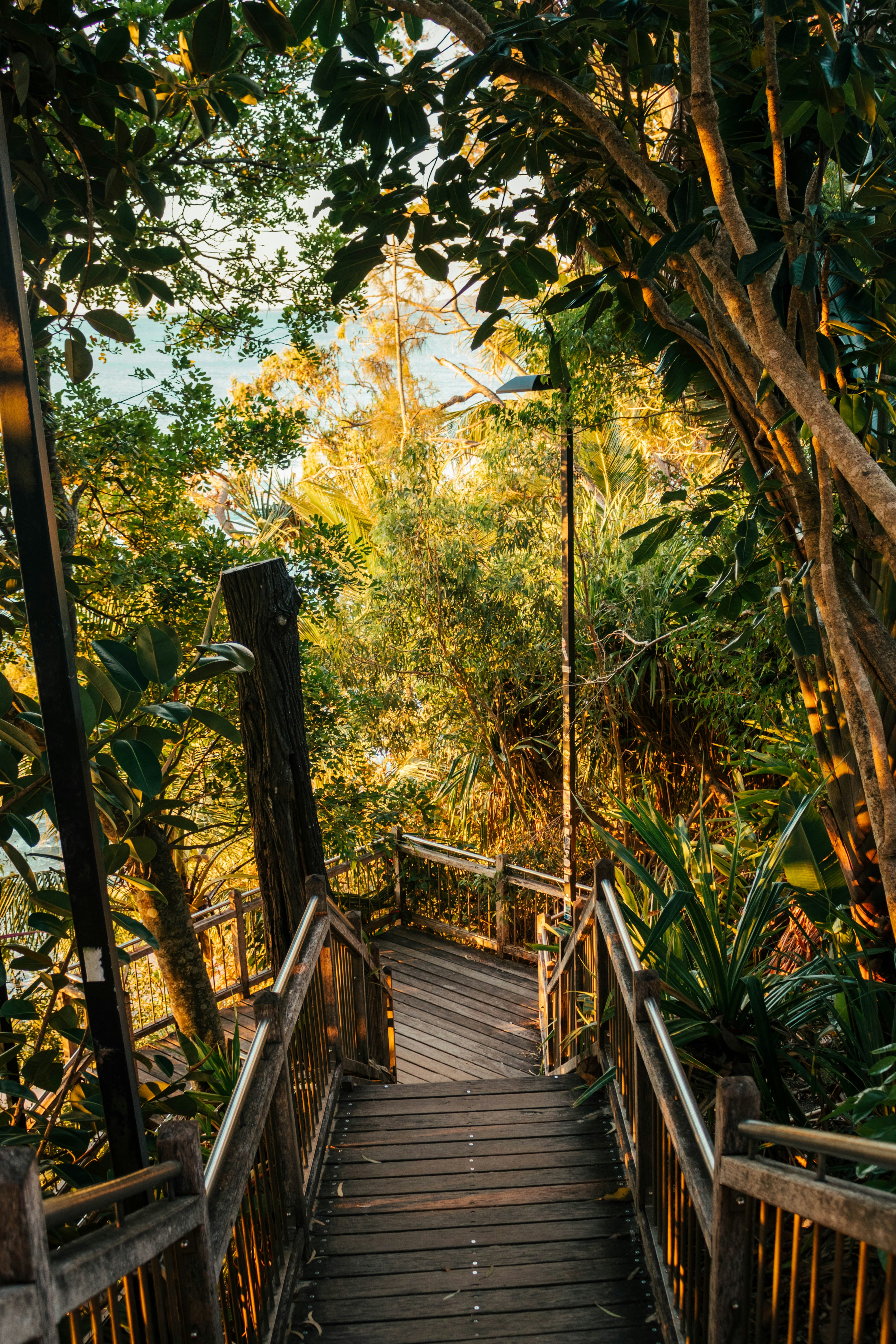 Brown wooden bridge surrounded by green trees during daytime photo ...