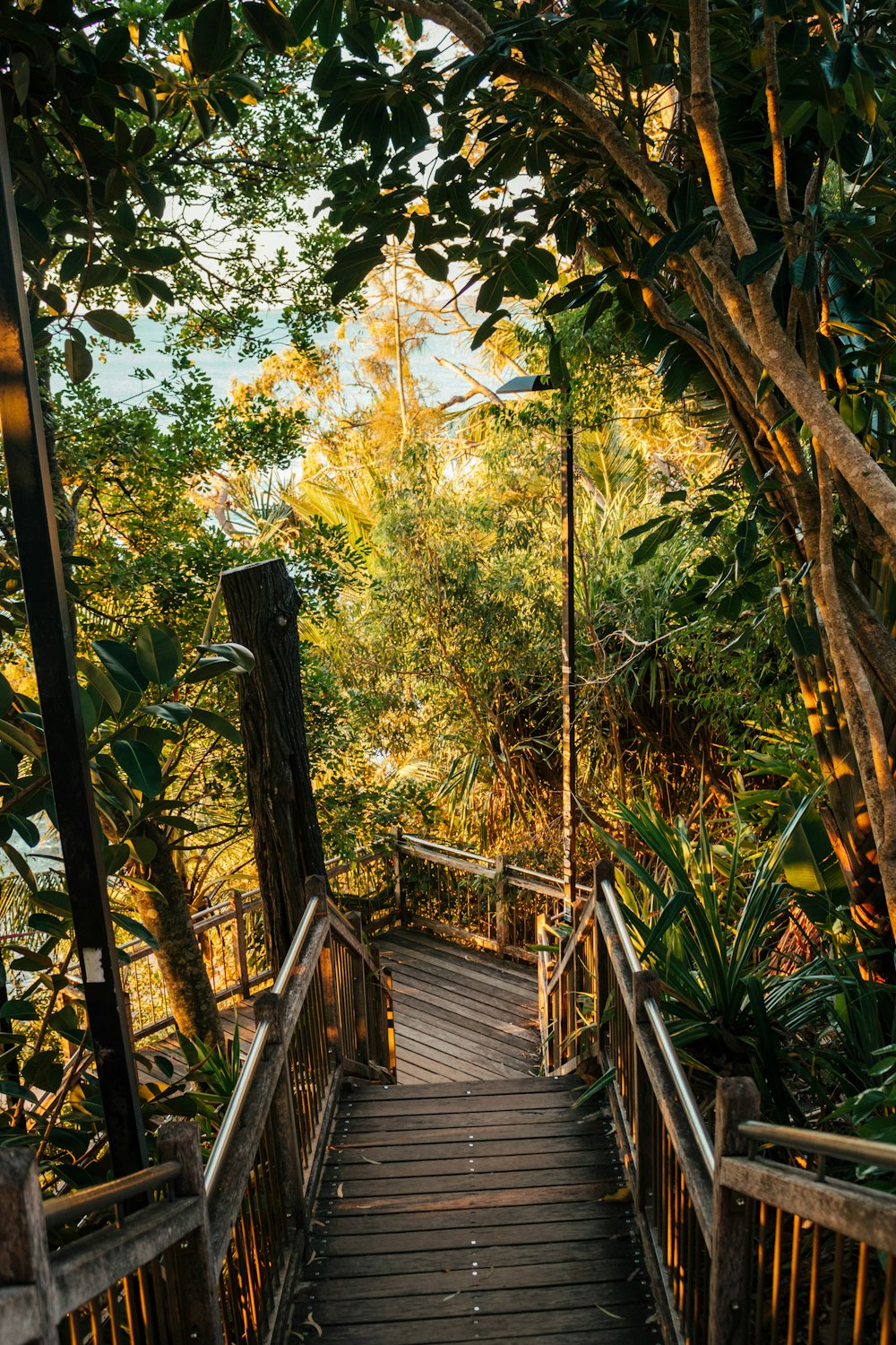 brown wooden bridge surrounded by green trees during daytime