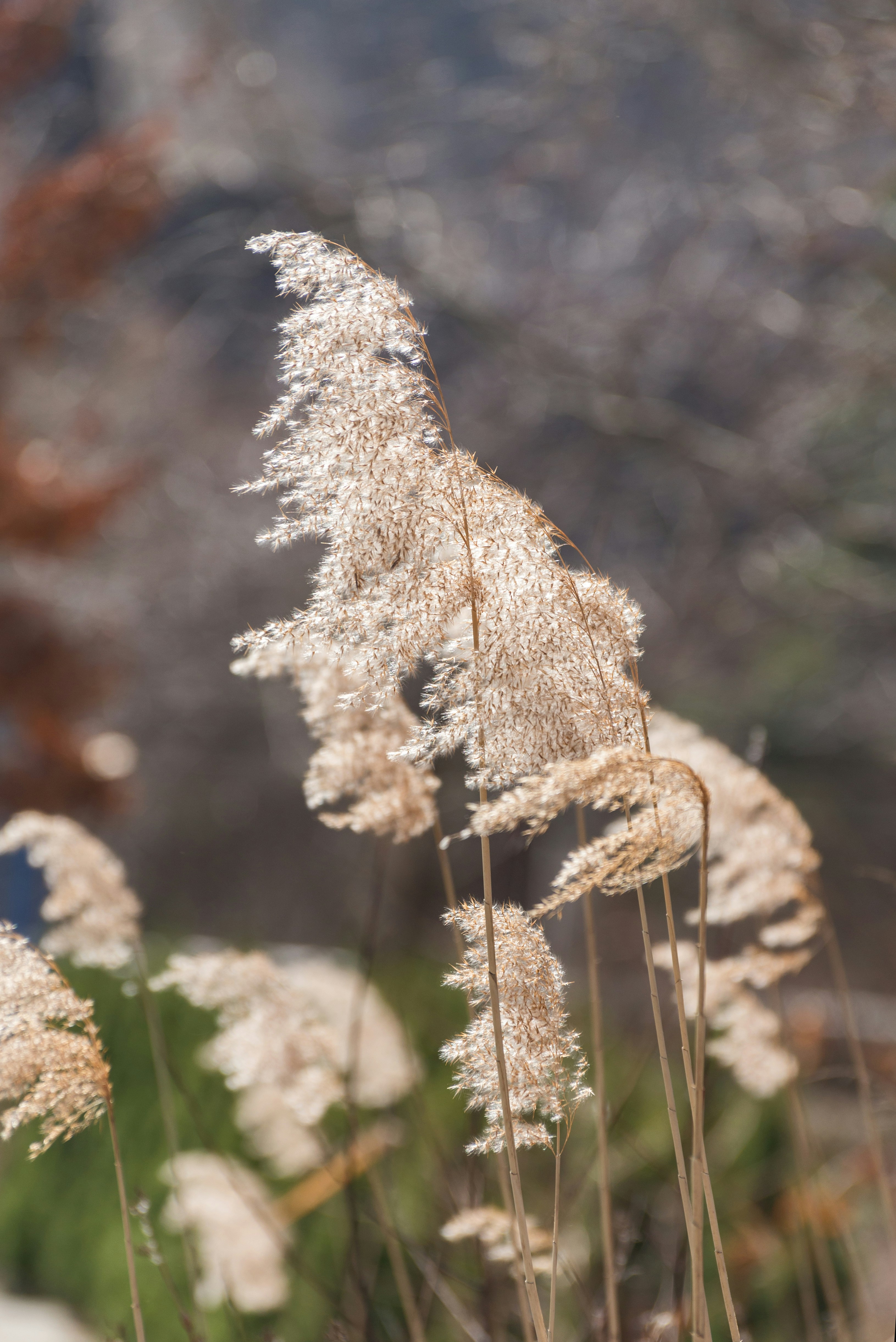 Photo by artsideofmine