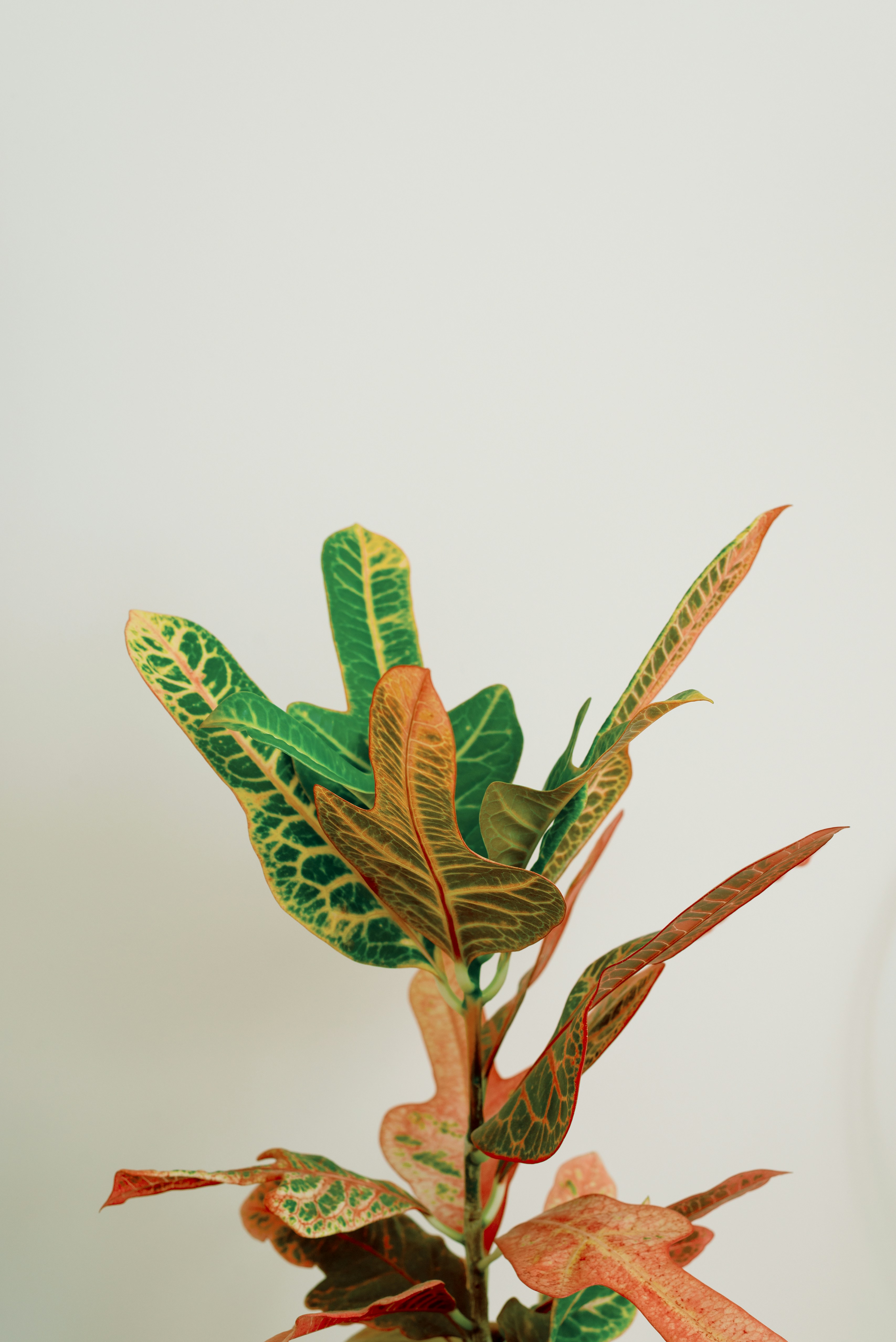 Photo by artsideofmine