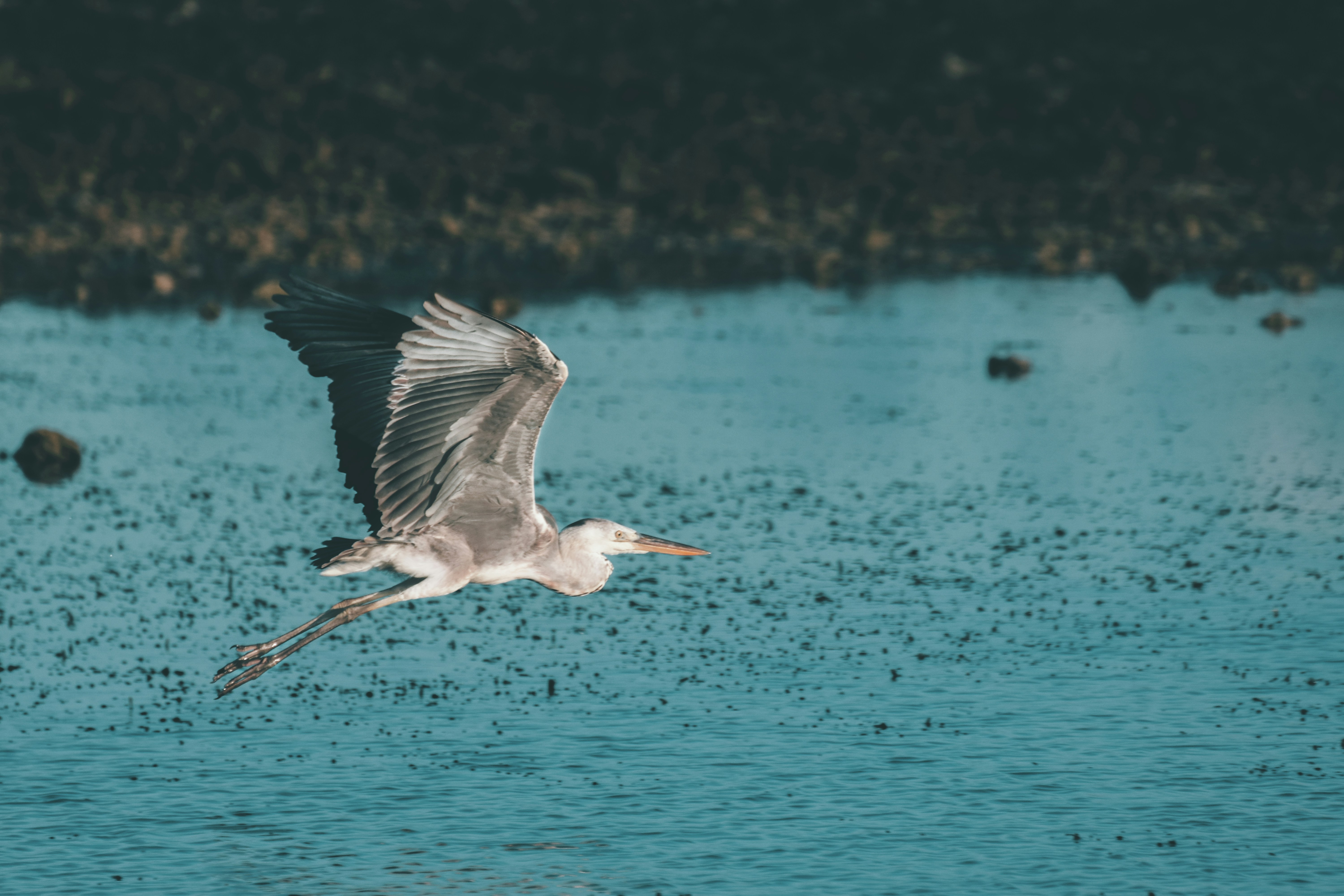 Photo by hassaan_maldives