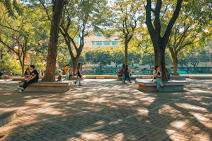people sitting on bench near trees during daytime