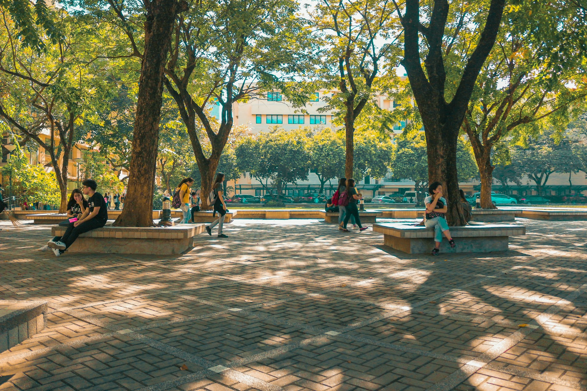 people sitting on bench near trees during daytime