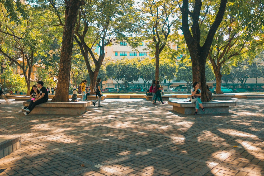 people sitting on bench near trees during daytime