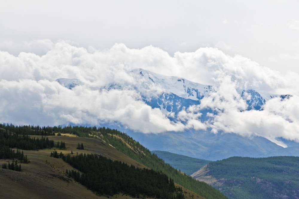 Grüne Bäume auf dem Berg tagsüber unter weißen Wolken